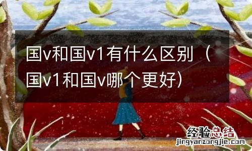 国v1和国v哪个更好 国v和国v1有什么区别