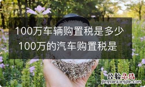 100万车辆购置税是多少 100万的汽车购置税是多少