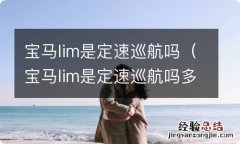 宝马lim是定速巡航吗多少钱 宝马lim是定速巡航吗