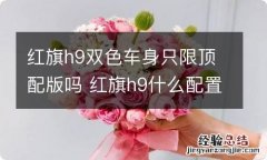 红旗h9双色车身只限顶配版吗 红旗h9什么配置才有双色车身