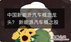 中国新能源汽车概念龙头？ 新能源汽车概念股龙头一览