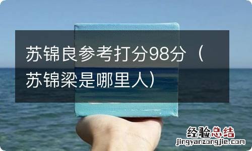 苏锦梁是哪里人 苏锦良参考打分98分