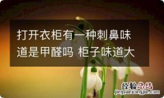 打开衣柜有一种刺鼻味道是甲醛吗 柜子味道大是甲醛吗