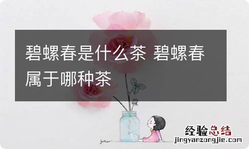 碧螺春是什么茶 碧螺春属于哪种茶