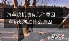 汽车烧机油有几种原因 车辆烧机油什么原因