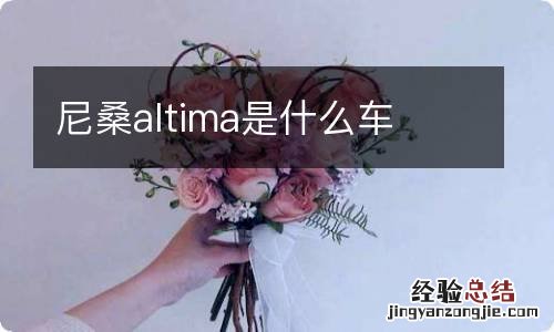 尼桑altima是什么车