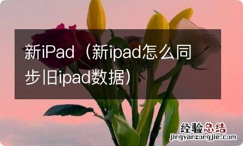 新ipad怎么同步旧ipad数据 新iPad