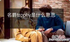 名爵trophy是什么意思