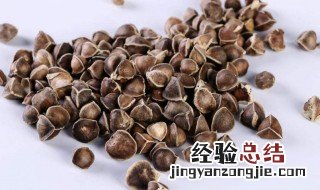 辣木籽能吃多少颗一天 辣木籽一天吃多少合适