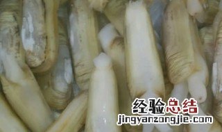 蛏子王内脏怎么去除 蛏子王怎么处理清洗干净