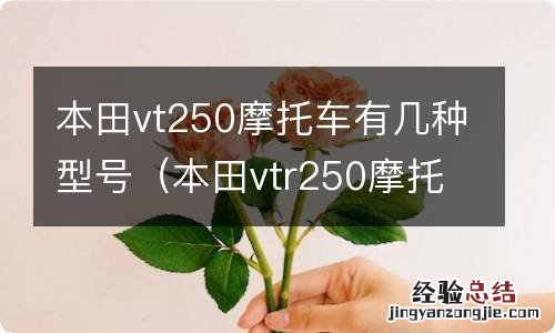 本田vtr250摩托车图片 本田vt250摩托车有几种型号