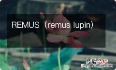 remus lupin REMUS