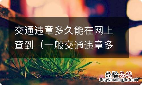 一般交通违章多久网上能查询 交通违章多久能在网上查到