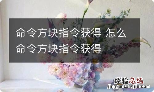 命令方块指令获得 怎么命令方块指令获得