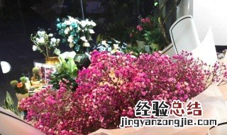 满天星可以放多久 满天星鲜花的保存方法