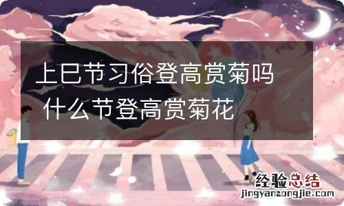 上巳节习俗登高赏菊吗 什么节登高赏菊花