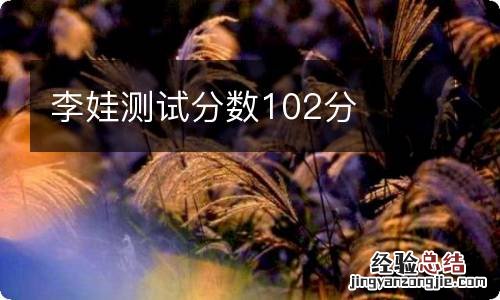 李娃测试分数102分