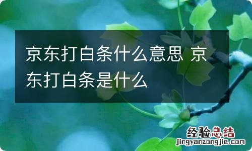 京东打白条什么意思 京东打白条是什么