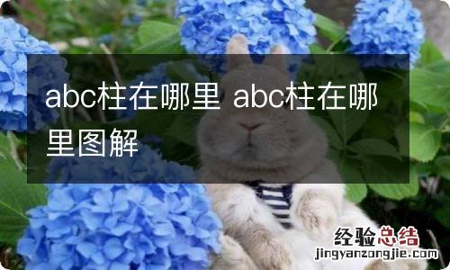 abc柱在哪里 abc柱在哪里图解