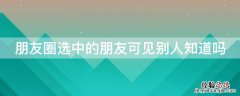 微信朋友圈选中的朋友可见别人知道吗 朋友圈选中的朋友可见别人知道吗