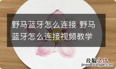 野马蓝牙怎么连接 野马蓝牙怎么连接视频教学