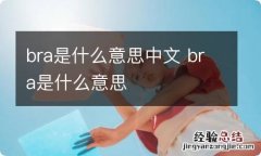 bra是什么意思中文 bra是什么意思