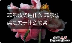 菲尔兹奖是什么 菲尔兹奖是关于什么的奖