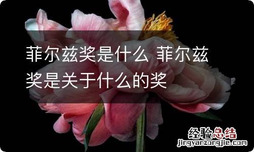 菲尔兹奖是什么 菲尔兹奖是关于什么的奖