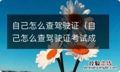 自己怎么查驾驶证考试成绩 自己怎么查驾驶证