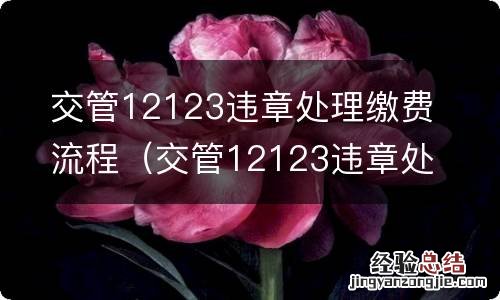 交管12123违章处理缴费流程图片 交管12123违章处理缴费流程