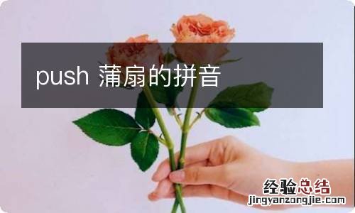 push 蒲扇的拼音