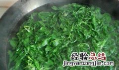 荠菜忘记焯水了怎么办能吃吗 荠菜忘记焯水了怎么办