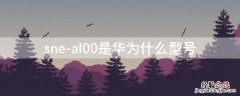 sneal00是华为什么型号 sne-al00是华为什么型号