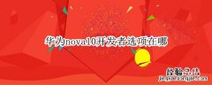 华为nova10开发者选项在哪 华为nova开发者选项在哪里