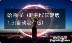 哈弗h6国潮版1.5t自动冠军版 哈弗H6