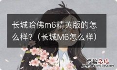 长城M6怎么样 长城哈佛m6精英版的怎么样?