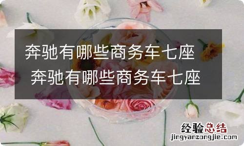 奔驰有哪些商务车七座 奔驰有哪些商务车七座车