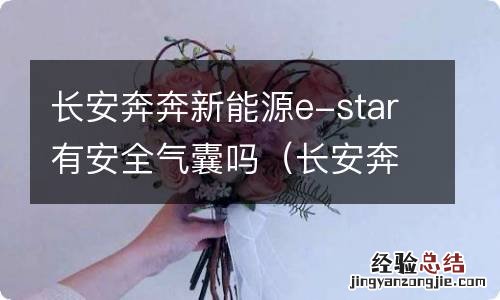 长安奔奔新能源e-star国民版有没有安全气囊 长安奔奔新能源e-star有安全气囊吗