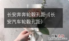 长安汽车轮毂孔距 长安奔奔轮毂孔距