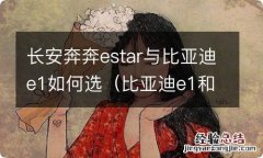 比亚迪e1和奔奔estar 长安奔奔estar与比亚迪e1如何选