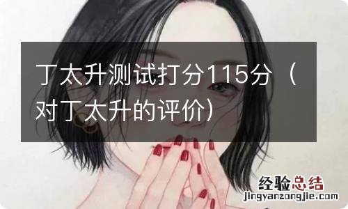 对丁太升的评价 丁太升测试打分115分