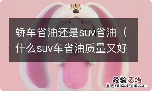 什么suv车省油质量又好又便宜 轿车省油还是suv省油