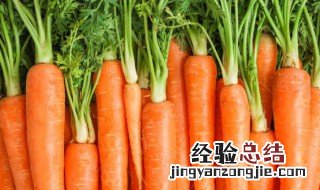 胡萝卜泥可以放冷藏吗 胡萝卜泥放冰箱保存吗