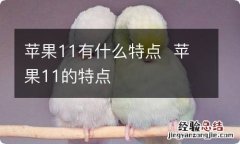 苹果11有什么特点苹果11的特点