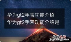 华为gt2手表功能介绍 华为gt2手表功能介绍是什么