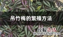 吊竹梅的繁殖方法 扦插分株都可以