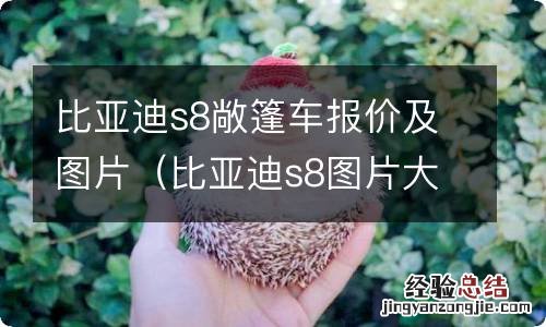 比亚迪s8图片大全 比亚迪s8敞篷车报价及图片