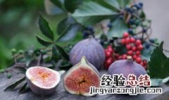 无花果能否放冰箱保鲜 无花果能放冰箱保鲜吗