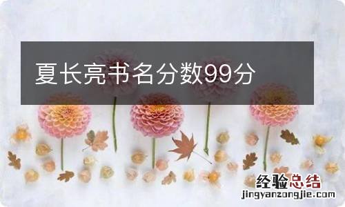 夏长亮书名分数99分