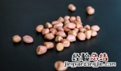 鲜花生能放冰箱冷藏吗 鲜花生能放冰箱冷冻保存吗